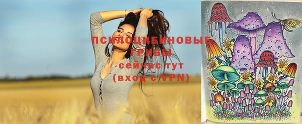 таблы Алексеевка