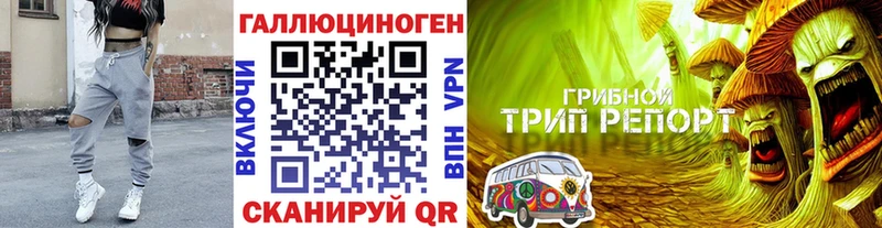 купить   Ардатов  blacksprut ССЫЛКА  Галлюциногенные грибы прущие грибы 