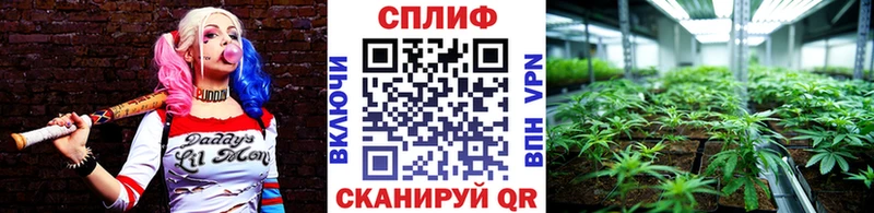 Марихуана гибрид Ардатов